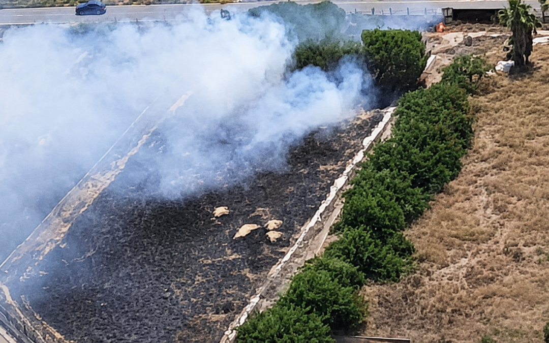 Incendio de vegetación en Nules en plena ola de calor: movilizados medios aéreos y helitransportados