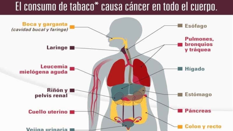 Una Escuela-Taller para “aprender a dejar de fumar”