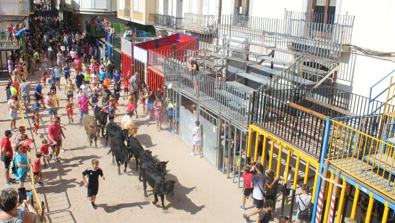 La Penya El Bou celebra este martes en la Plaza Mayor la gran trashumancia infantil de Sant Bartomeu